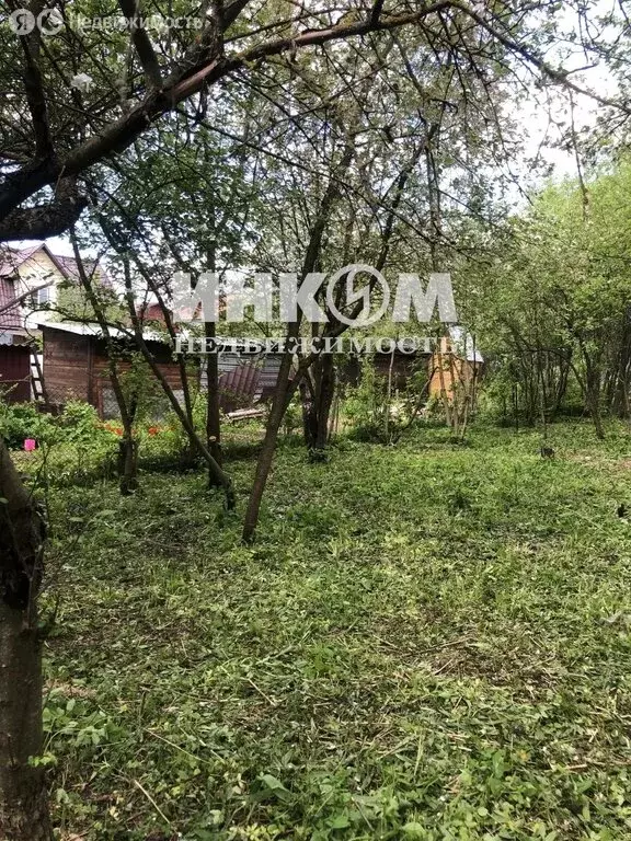 Участок в Подольск, СНТ Воговец, 3 (6.13 м) - Фото 2