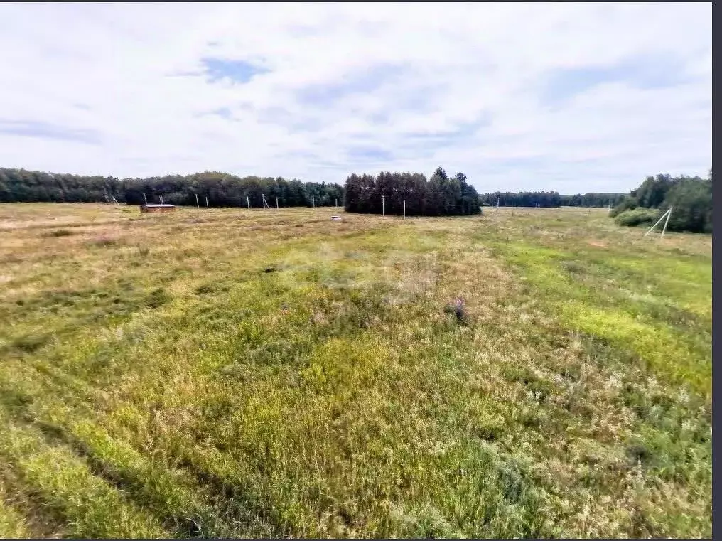 Участок в Тюменская область, Тюменский муниципальный округ, ... - Фото 1