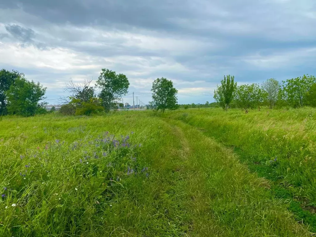 Участок в Краснодарский край, Краснодар пос. Индустриальный, ул. ... - Фото 1