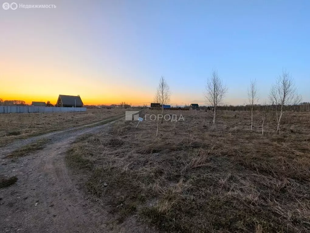 Участок в Мошковский район, коттеджный посёлок Индия (15.9 м) - Фото 2