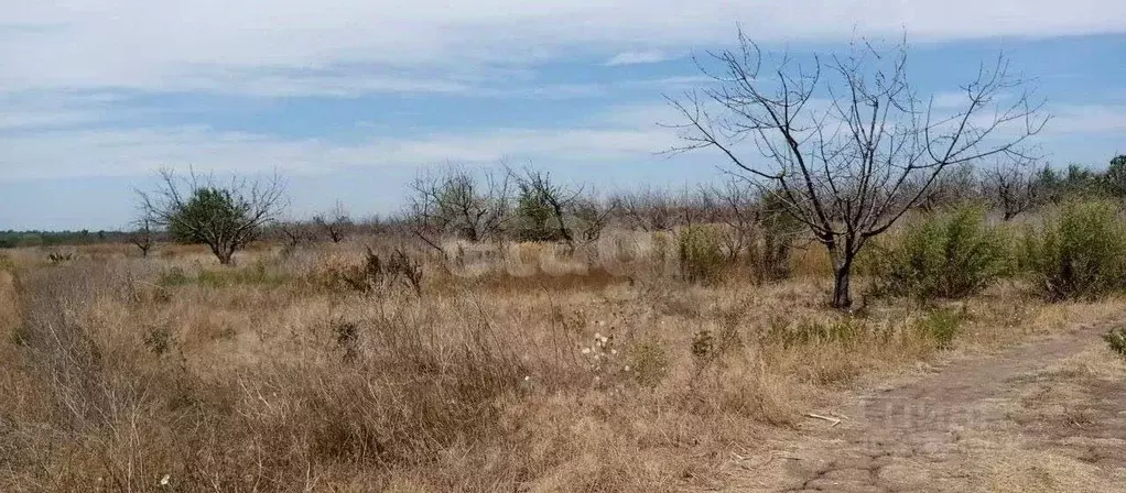 Участок в Ростовская область, Азов Азовский район, ул. Победы (6.0 ... - Фото 1