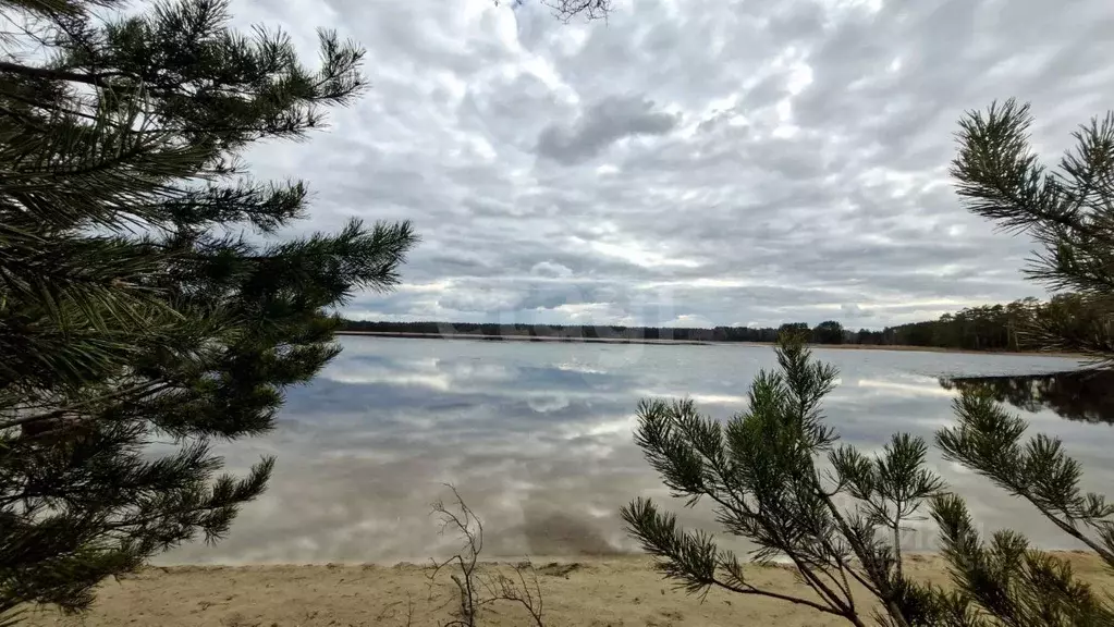 Участок в Нижегородская область, Навашинский муниципальный округ, с. ... - Фото 2