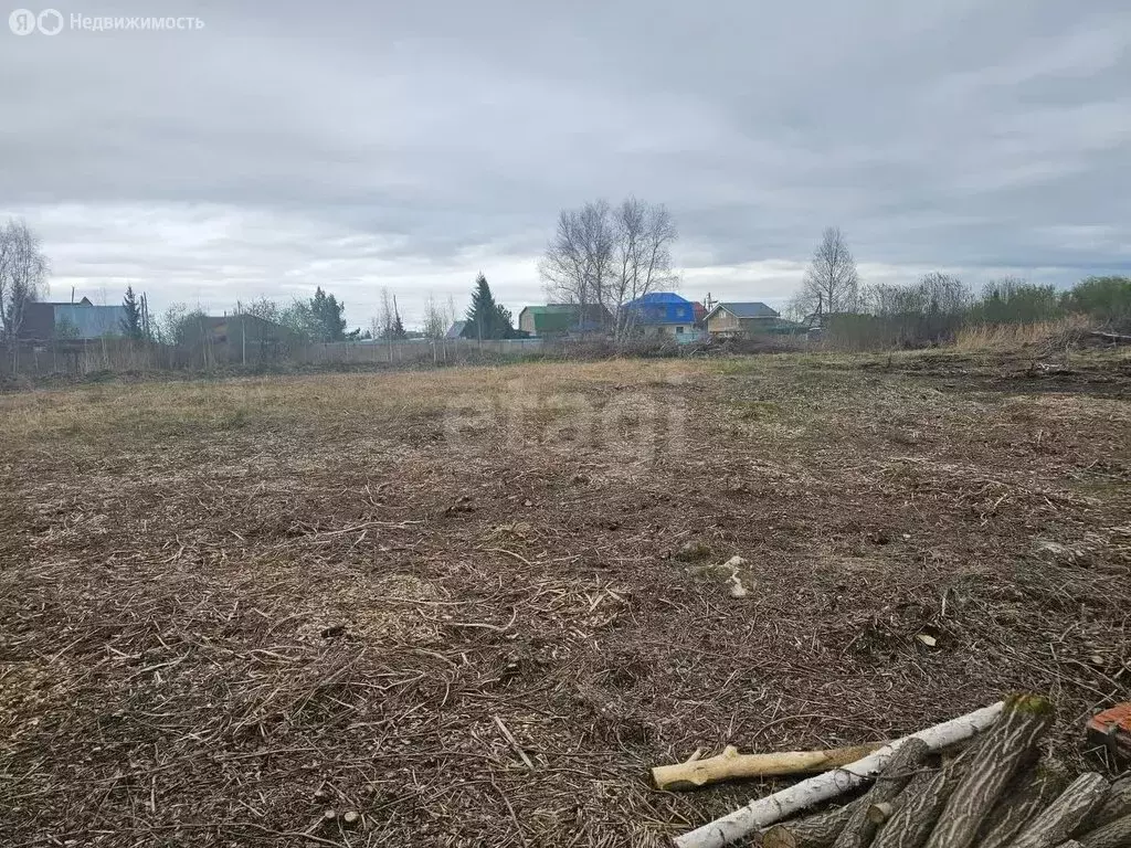 Участок в Тюмень, садовое товарищество Ясень, Северная улица (9.8 м) - Фото 1