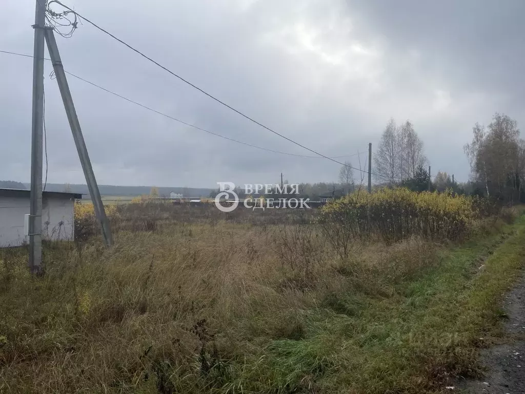 Участок в Владимирская область, Судогодский район, с. Чамерево ул. ... - Фото 2