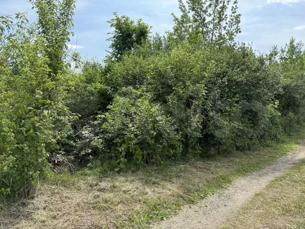 Участок 7 сот. (СНТ, ДНП) - Фото 1
