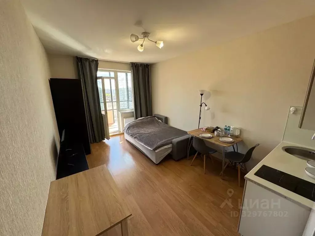 Студия Санкт-Петербург ул. Среднерогатская, 16к2 (23.0 м) - Фото 2
