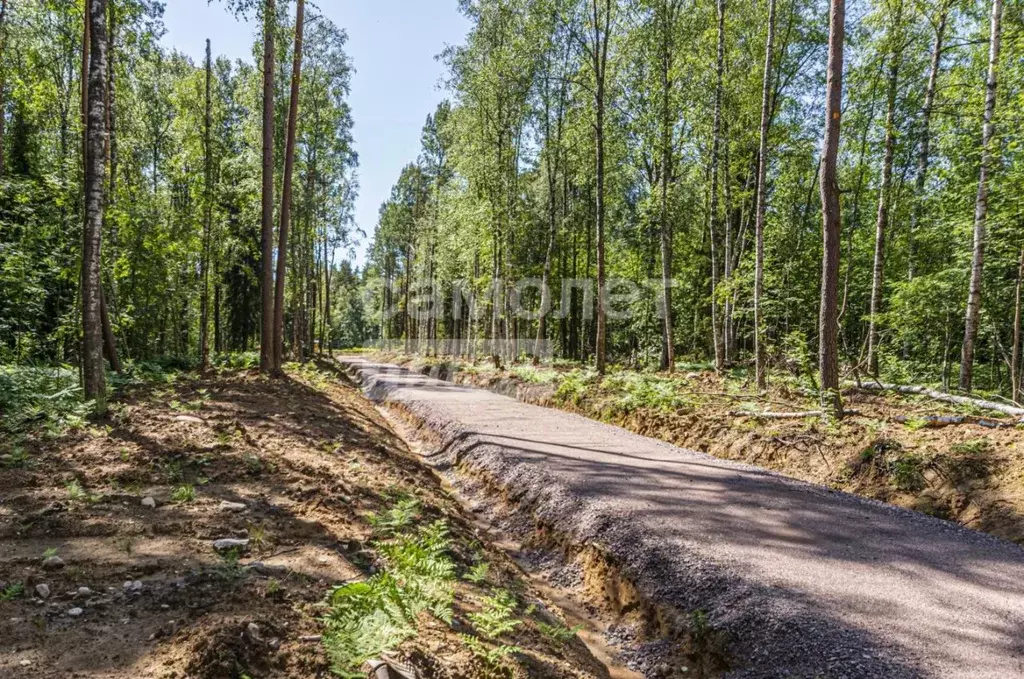 Участок в Ленинградская область, Выборгский район, пос. Первомайское  ... - Фото 1