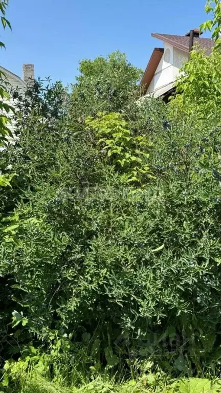 Дом в Новосибирская область, Новосибирск ул. Моисеенко, 27 (28 м) - Фото 1