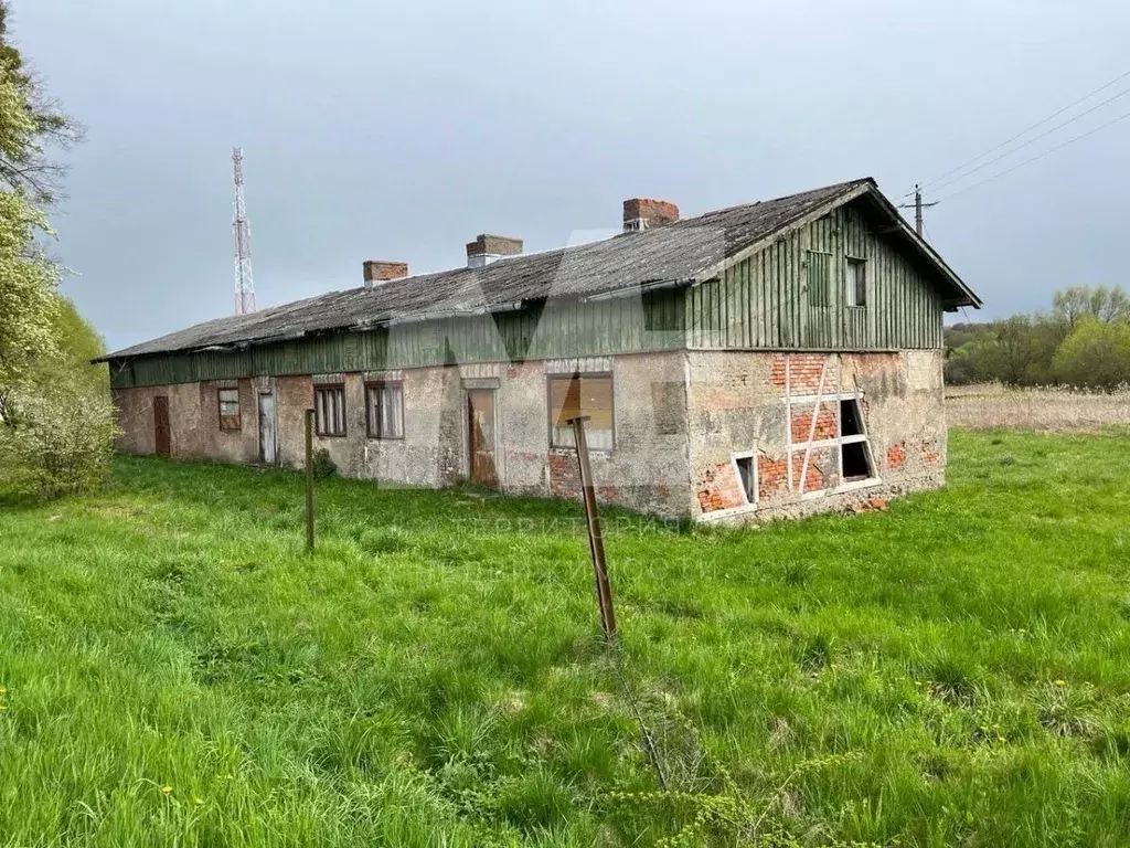 Помещение свободного назначения в Калининградская область, ... - Фото 1