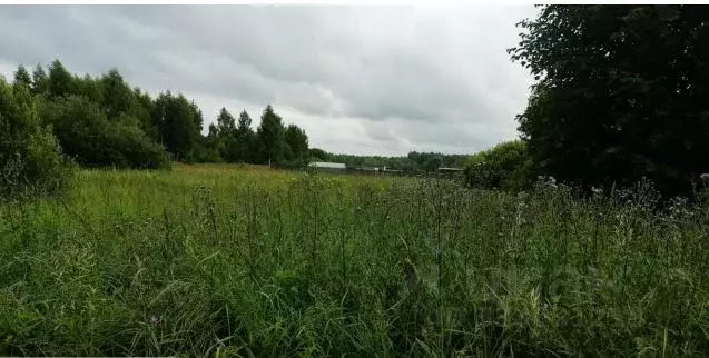 Участок в Московская область, Дмитровский муниципальный округ, пос. ... - Фото 1