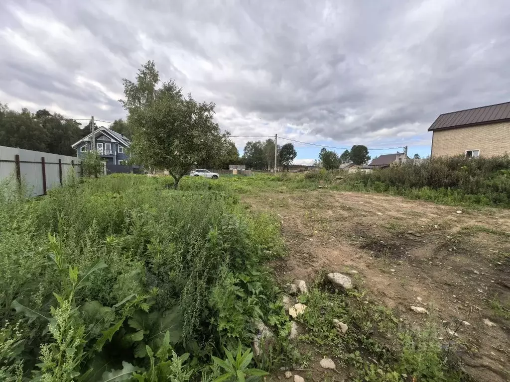Участок в Московская область, Щелково городской округ, Ягодная тер.  ... - Фото 0