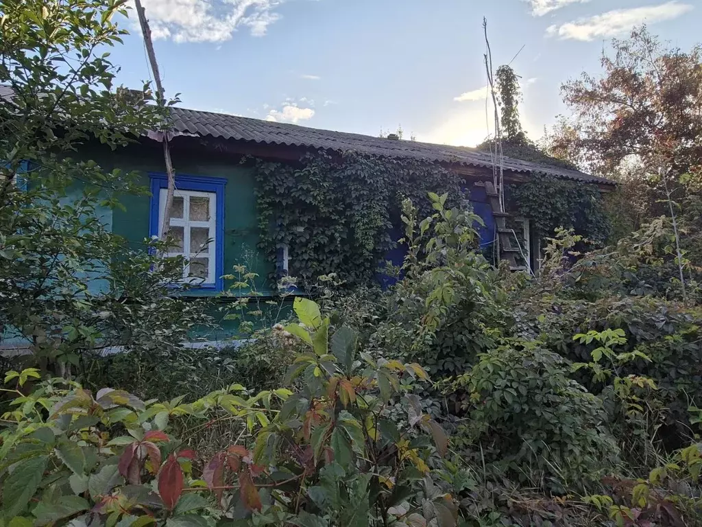 1-к кв. Липецкая область, Грязи Борисоглебская ул., 3 (28.0 м) - Фото 0