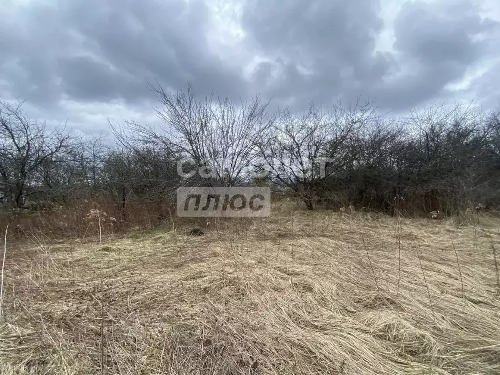 Участок в Курская область, Курский район, Моковский сельсовет, Золотая ... - Фото 2