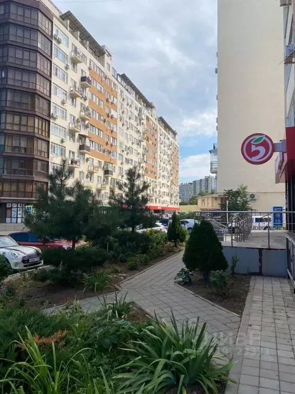 1-к кв. Краснодарский край, Анапа ул. Тургенева, 260 (34.0 м) - Фото 1
