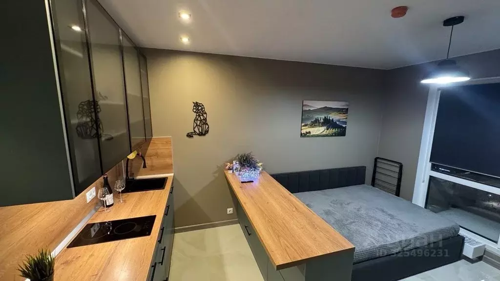 Студия Москва ул. Большое Понизовье, 8 (19.0 м) - Фото 2