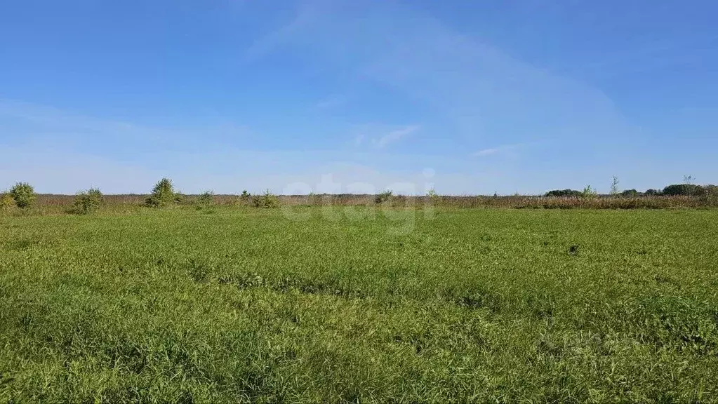 Участок в Тюменская область, Нижнетавдинский муниципальный округ, ... - Фото 1