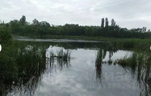 Участок в Краснодарский край, Северское с/пос, Бончковский хут. ул. ... - Фото 1