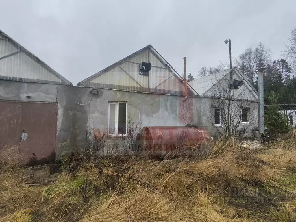 Участок в Ленинградская область, Выборг Крепостная ул. (1000.0 сот.) - Фото 2