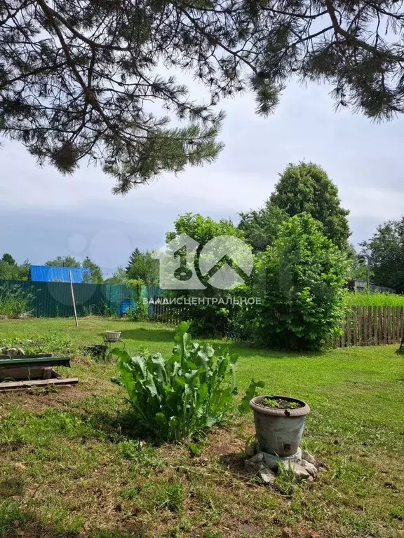 Участок 10 сот. (СНТ, ДНП) - Фото 0