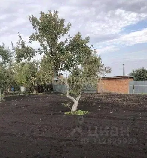 Дом в Тюменская область, Тюмень Сибиряк СНТ, ул. Центральная (12 м) - Фото 1