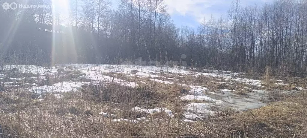 Участок в Волховский район, Сясьстройское городское поселение, деревня ... - Фото 2