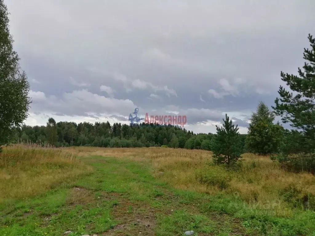 Участок в Карелия, Лахденпохский муниципальный округ, пос. Кайвомяки  ... - Фото 1