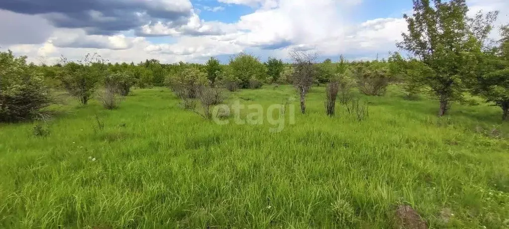 Участок в Воронежская область, Рамонский район, с. Русская Гвоздевка  ... - Фото 0