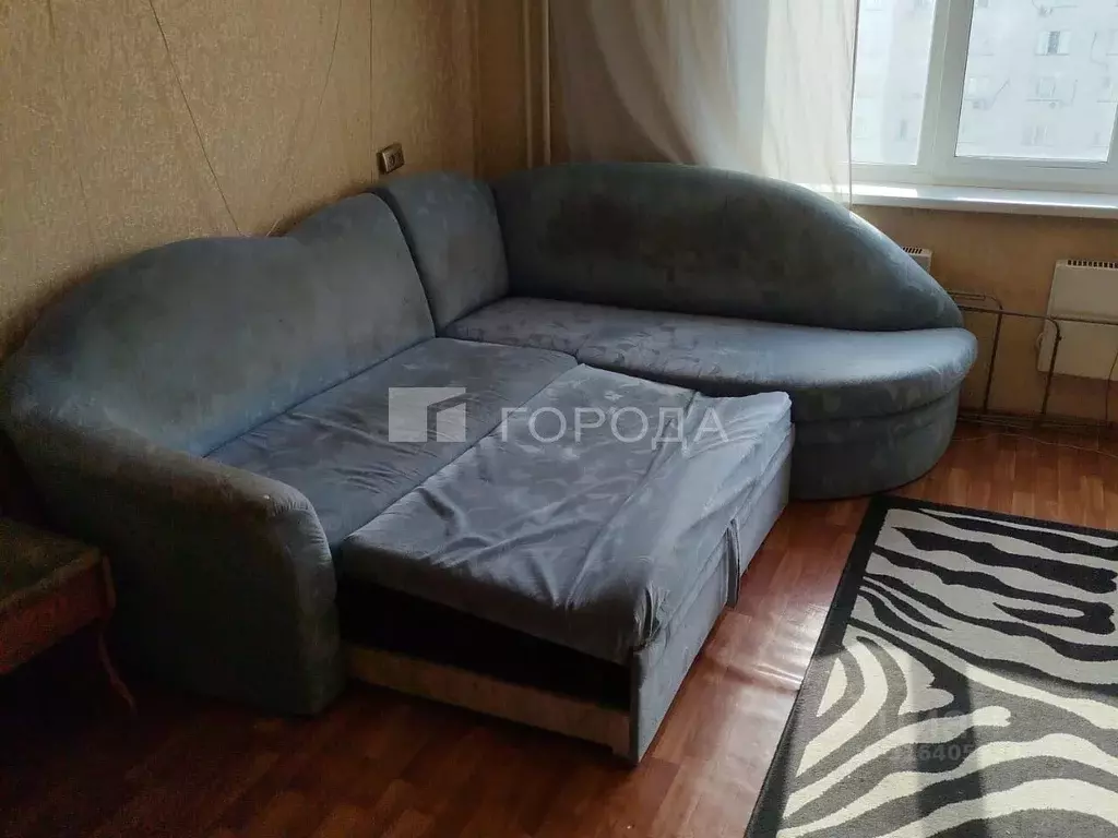 Студия Новосибирская область, Новосибирск ул. Татьяны Снежиной, 43 ... - Фото 1