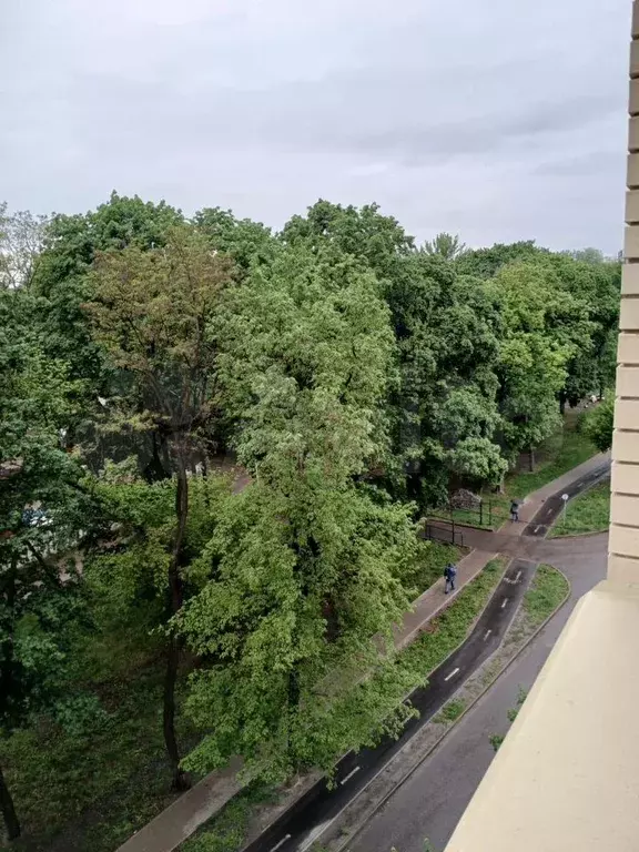 Квартира-студия, 27,7 м, 6/12 эт. - Фото 0