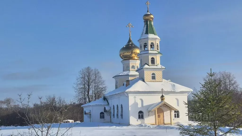 Дом в Новгородская область, Старая Русса ул. Кириллова (57 м) - Фото 1