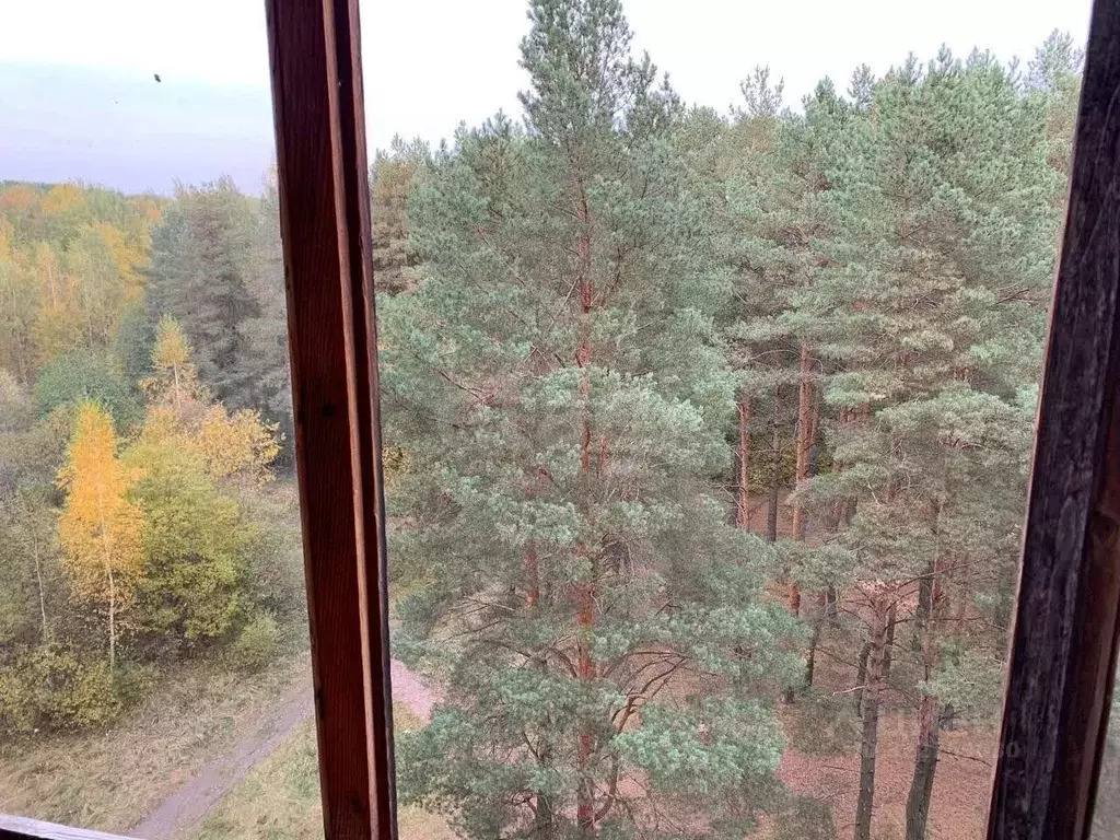 3-к кв. Брянская область, Брянск ул. Есенина, 30 (74.4 м) - Фото 1