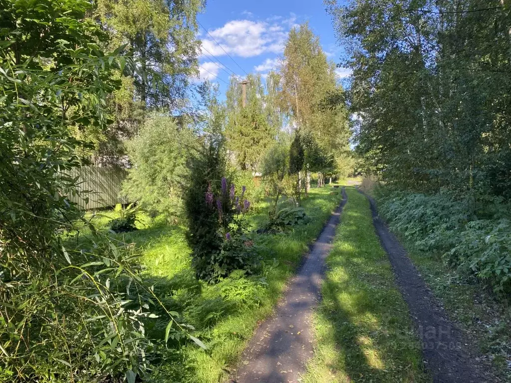 Участок в Псковская область, Гдов городское поселение, д. Черма  (15.0 ... - Фото 2
