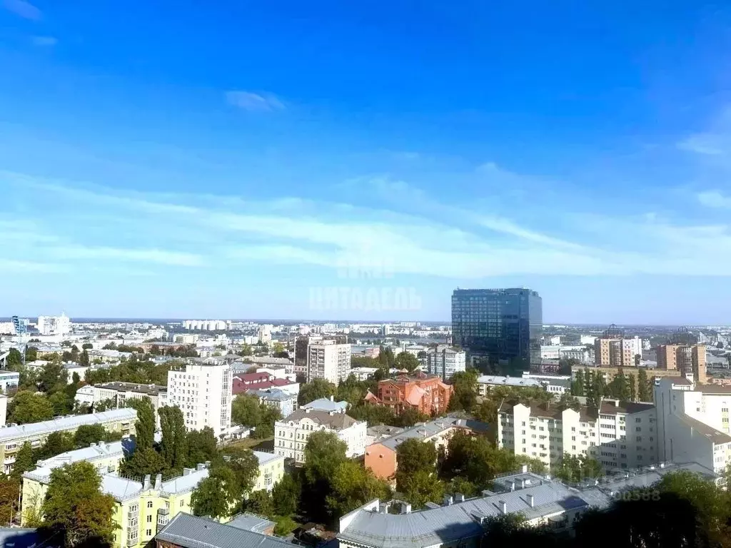 3-к кв. Воронежская область, Воронеж ул. Карла Маркса, 67/2 (81.0 м) - Фото 2