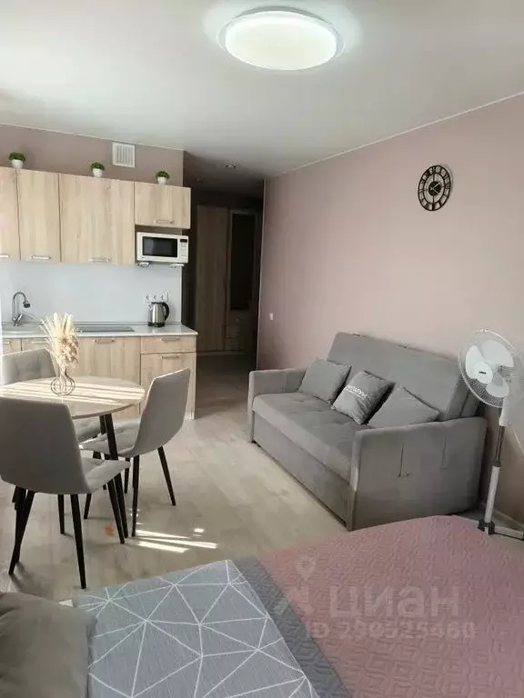 Студия Тюменская область, Тобольск 15-й мкр, 42 (30.0 м) - Фото 2