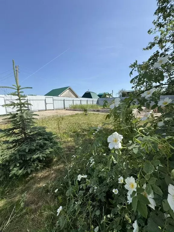 Участок 5 сот. (СНТ, ДНП) - Фото 0