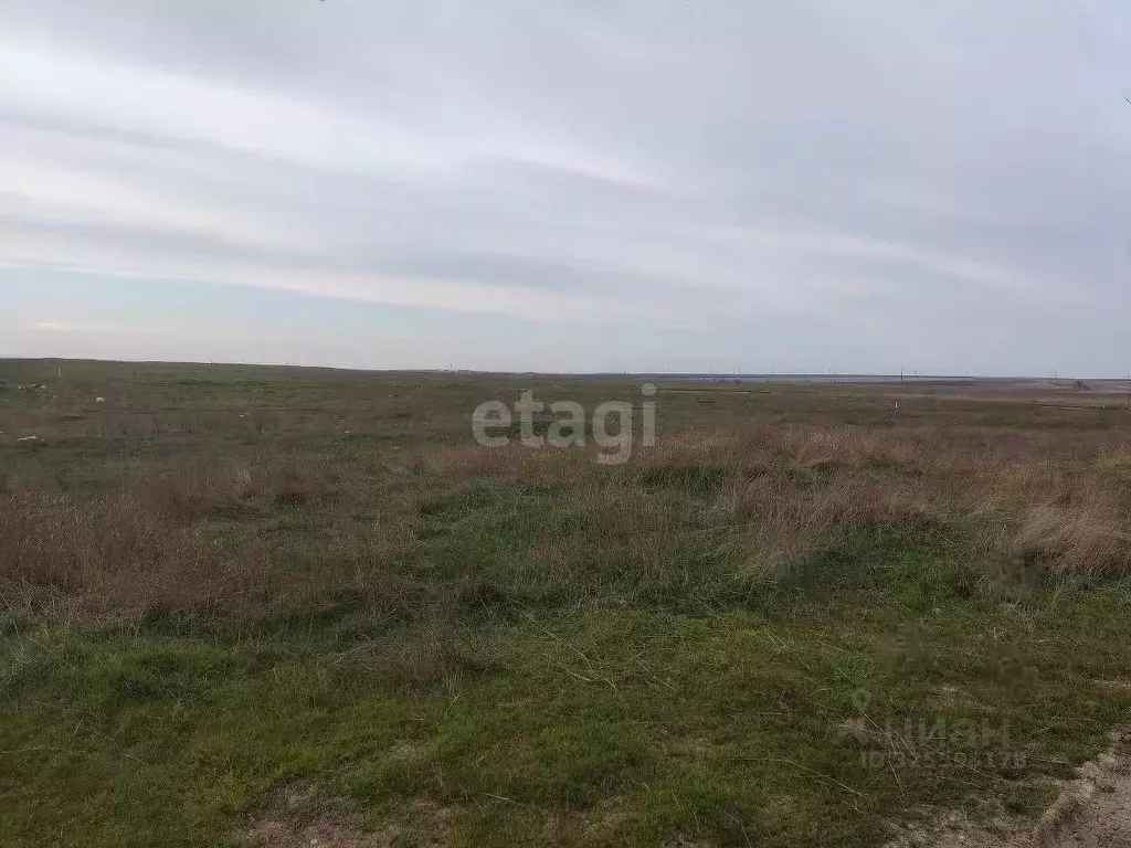 Участок в Крым, Феодосия муниципальный округ, с. Береговое ул. ... - Фото 0