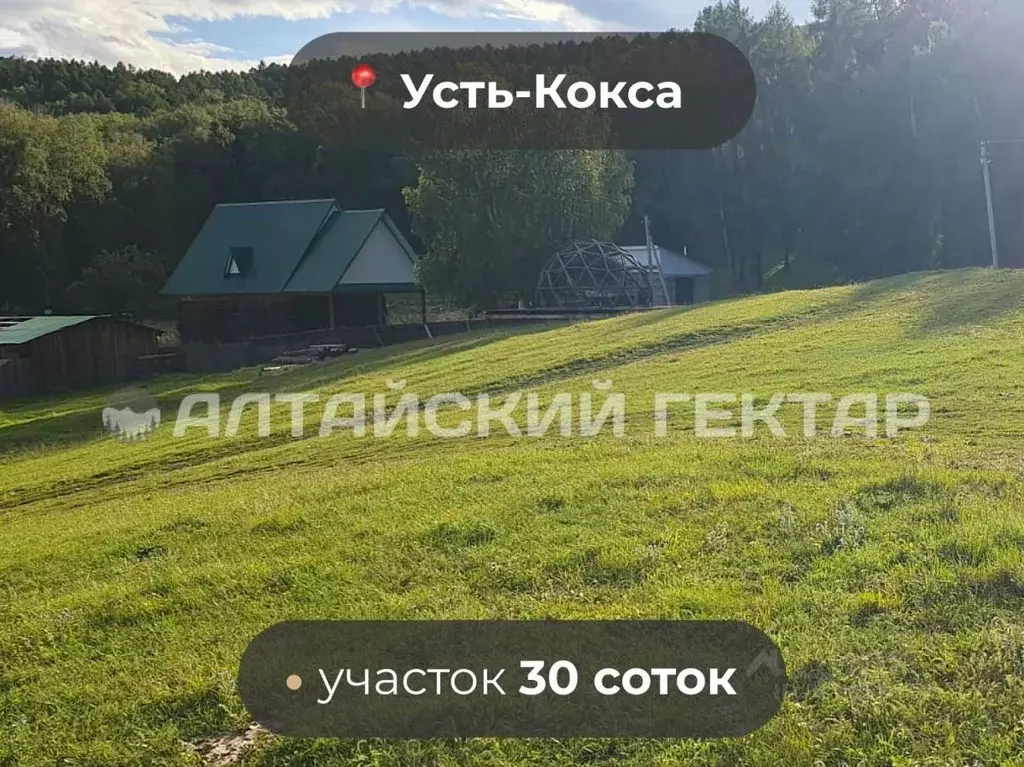 Участок в Алтай, Усть-Коксинский район, с. Усть-Кокса Березовая ул. ... - Фото 0