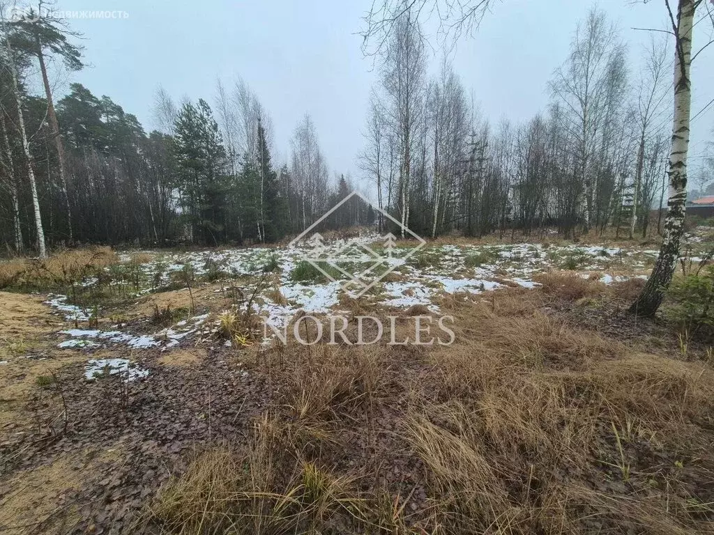 Участок в Московская область, городской округ Щёлково, территория ... - Фото 2