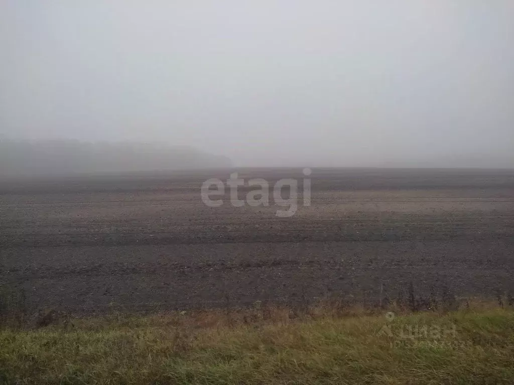 Участок в Белгородская область, Красногвардейский район, Ливенское ... - Фото 1