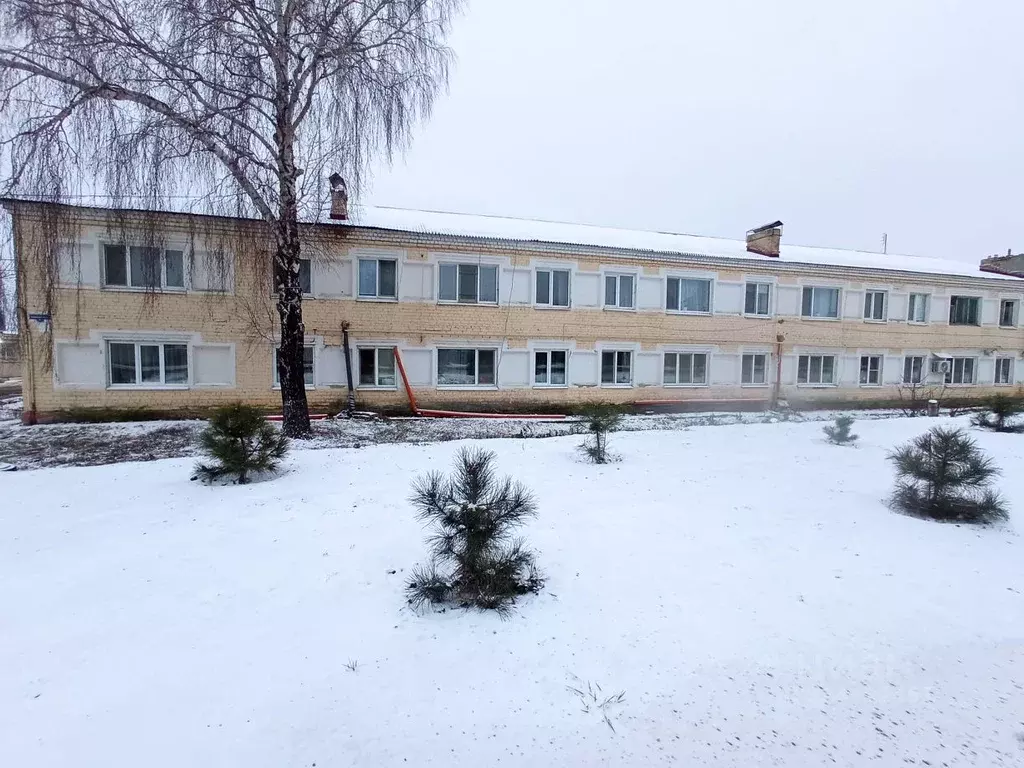 1-к кв. Саратовская область, Татищево рп ул. Красноармейская, 33 (27.0 ... - Фото 1