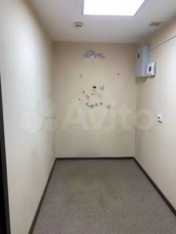 Свободного назначения, 6 м - Фото 1