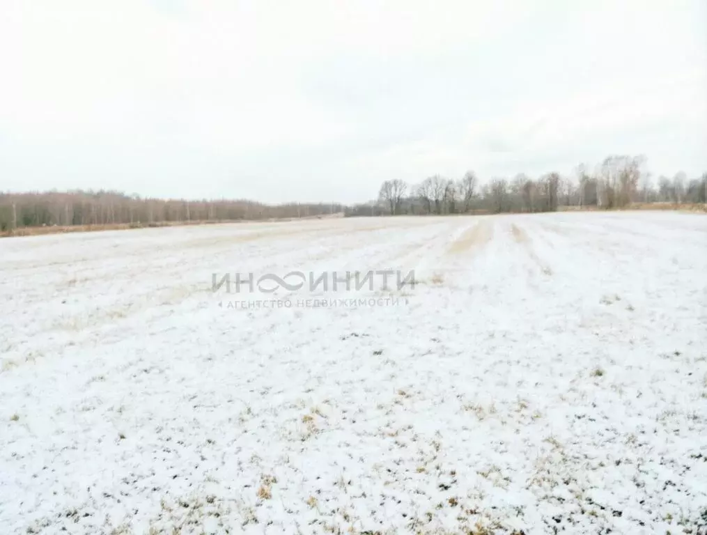 Участок в Московская область, Раменский муниципальный округ, деревня ... - Фото 2