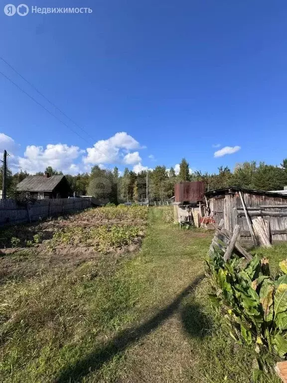 Участок в Пермь, улица Борцов Революции (15 м) - Фото 1