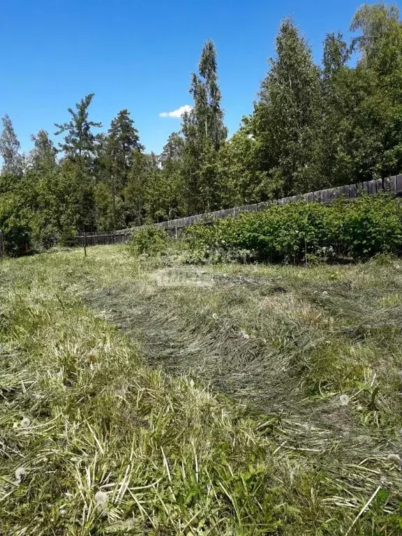 Участок в Иркутская область, Шелеховский район, Большелугское ... - Фото 1