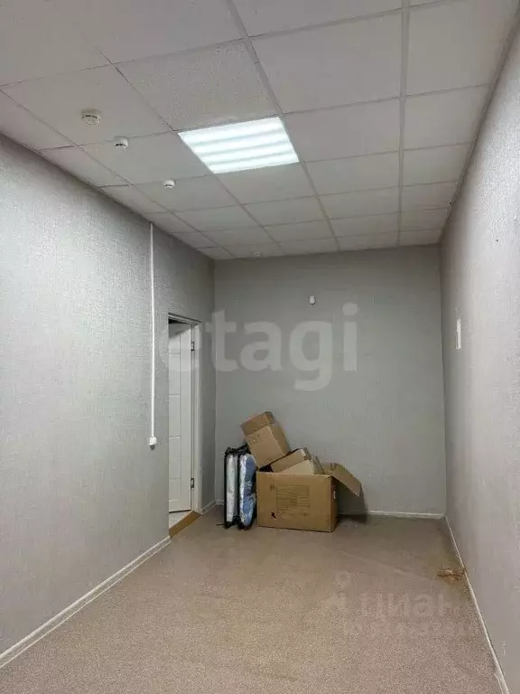 Помещение свободного назначения в Санкт-Петербург Кондратьевский ... - Фото 1