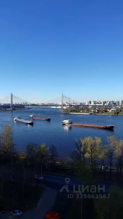 Студия Санкт-Петербург Рыбацкий просп., 17к1 (25.1 м) - Фото 2
