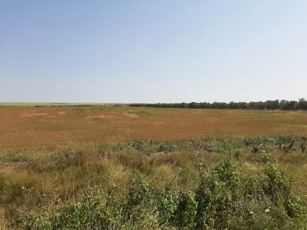 Участок в Крым, Черноморский район, Новосельское с/пос  (22000.0 сот.) - Фото 2