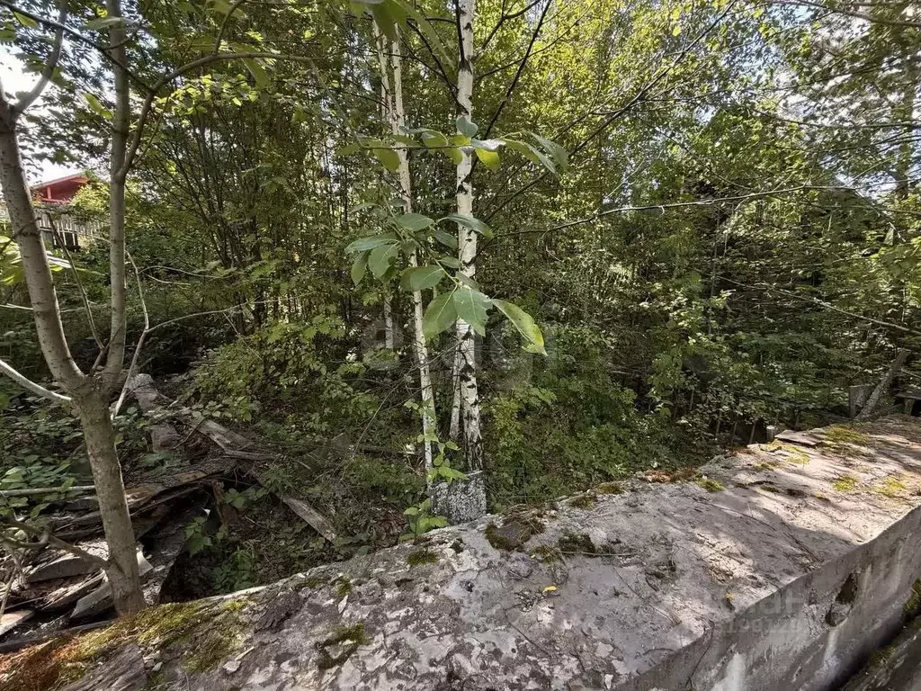 Участок в Свердловская область, Горноуральский муниципальный округ, ... - Фото 1