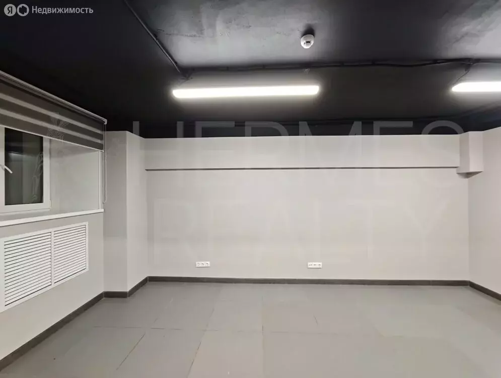 Помещение свободного назначения (26.7 м) - Фото 2