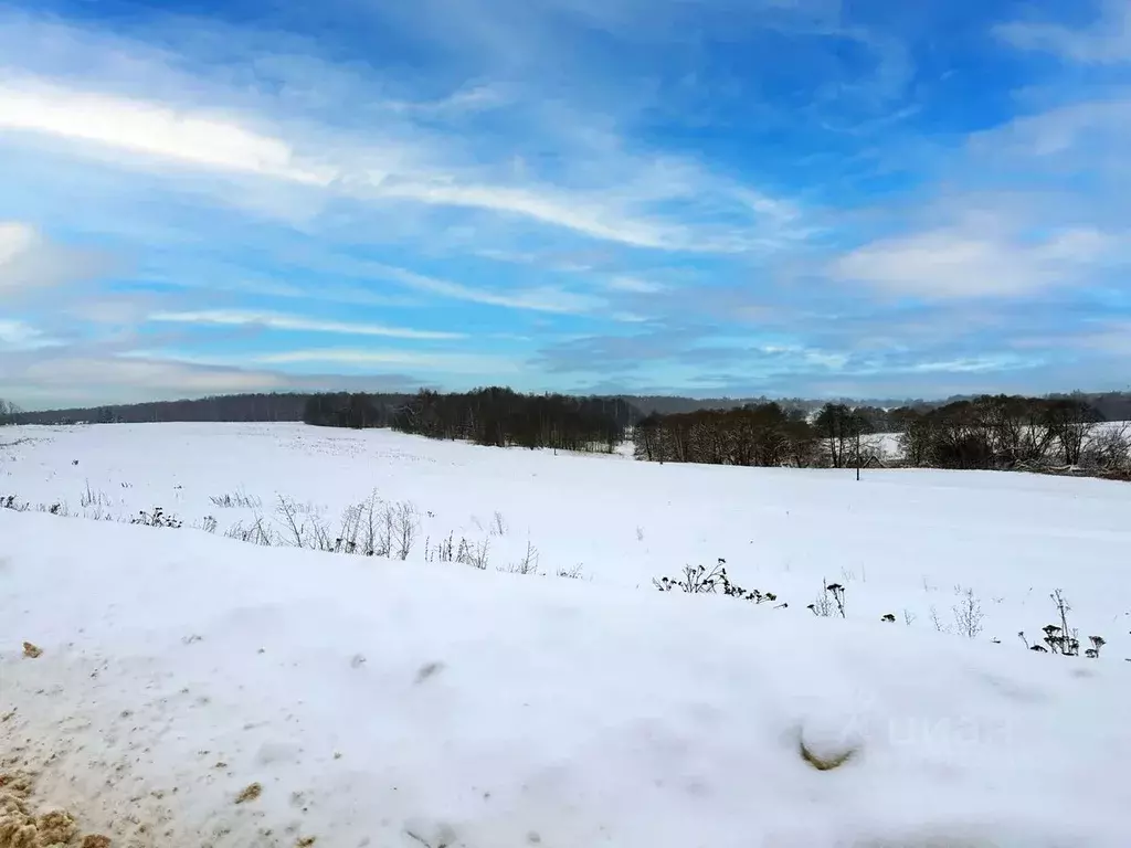 Участок в Московская область, Домодедово городской округ, пос. ... - Фото 1